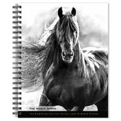Agenda Papier 2026 Spirale Portraits Noir et Blanc Chevaux