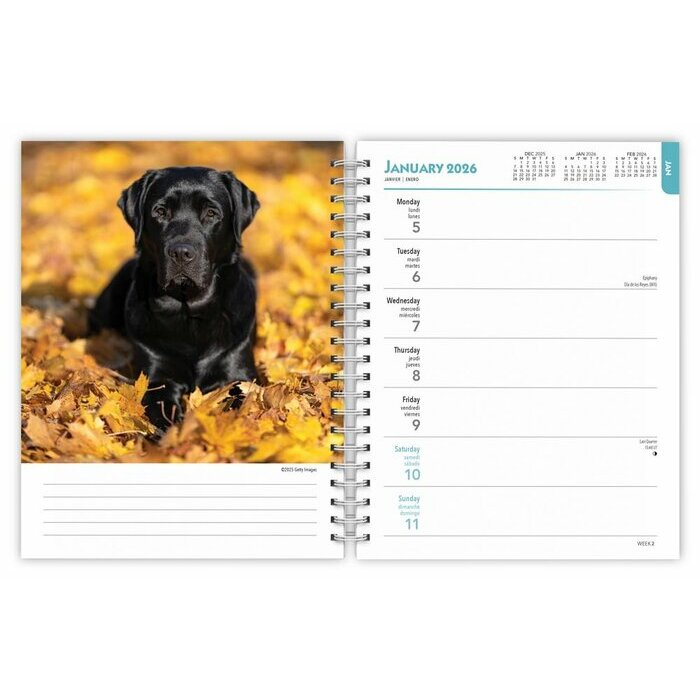 Agenda 2025 Chien Labrador Noir