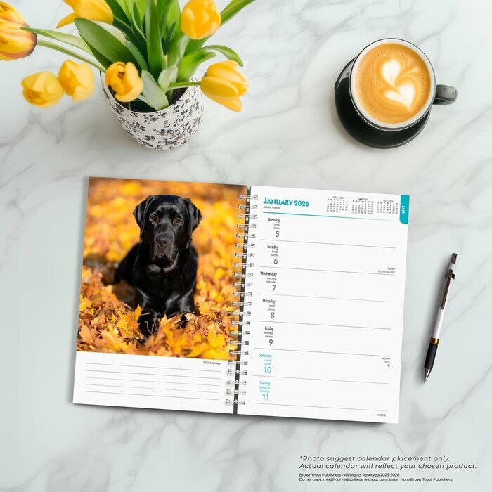Agenda 2025 Spirale Chien Labrador Noir