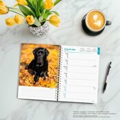 Agenda 2025 Spirale Chien Labrador Noir