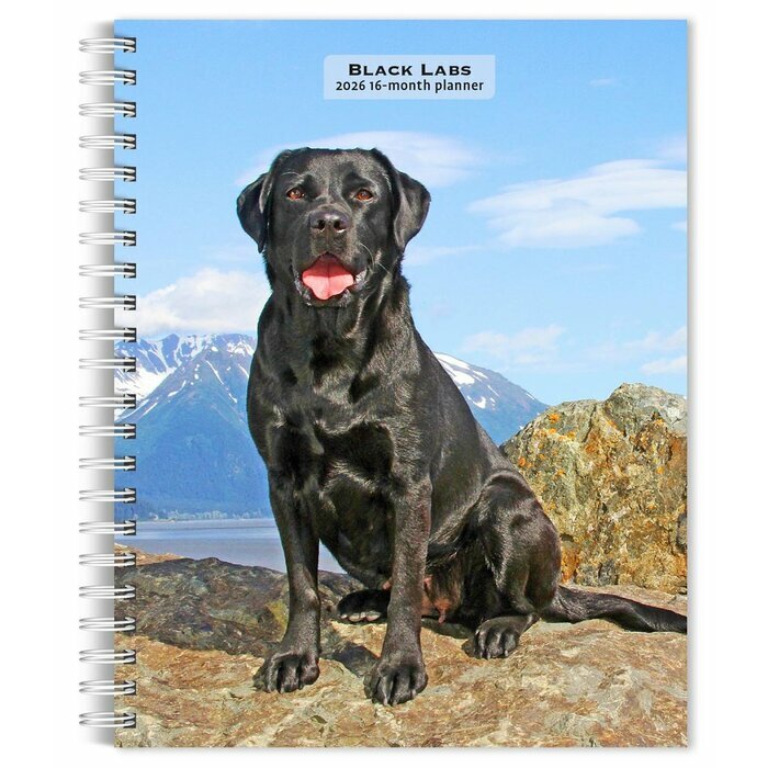 Agenda Papier 2025 Spirale Chien Labrador Noir