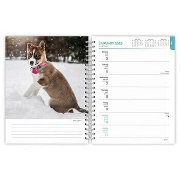 Agenda 2026 Spirale Chiots de Races