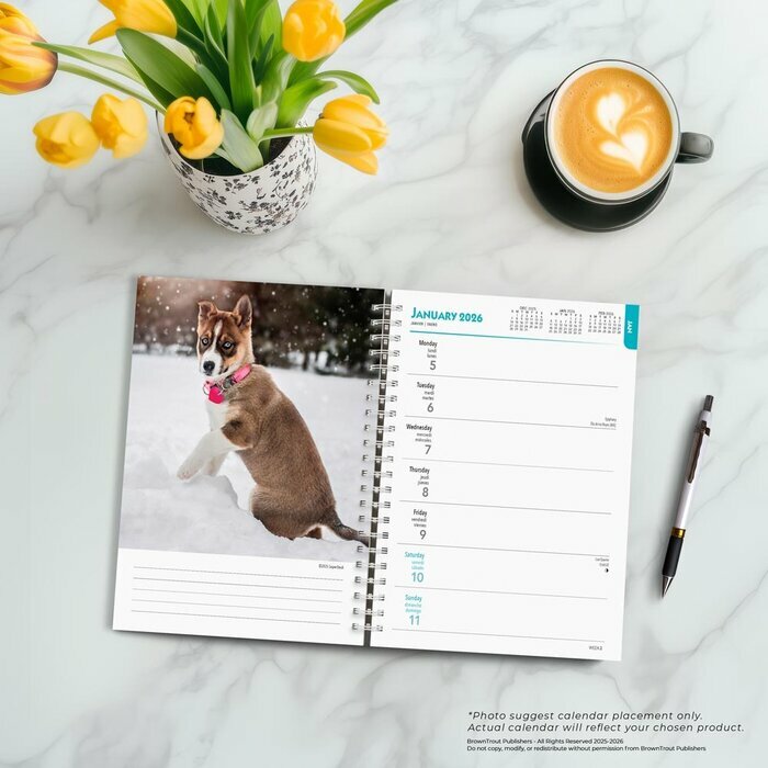 Agenda mural 2026 Spirale Chiots de Races