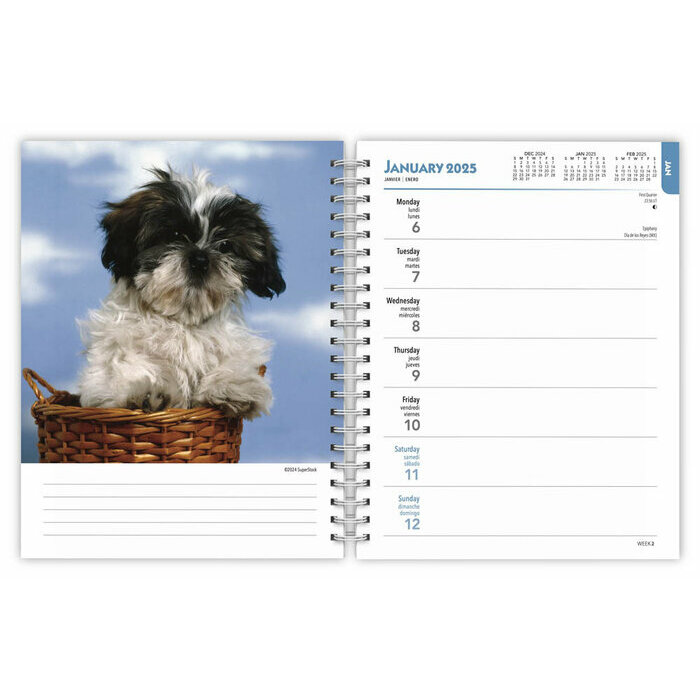 Agenda 2025 Chiots de Races