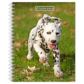 Agenda 2026 Spirale Chiots de Races