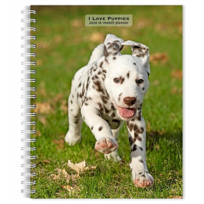 Agenda Papier 2026 Spirale Chiots de Races