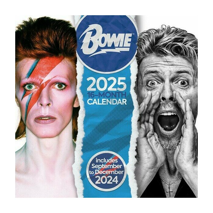 Calendrier Mural 2025 David Bowie Star Ziggy