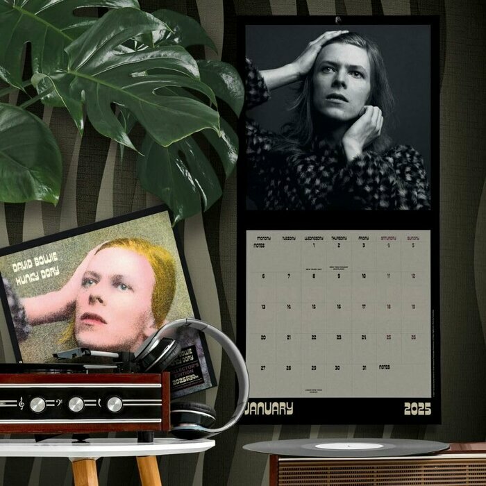 Calendrier 2025 David Bowie Edition Collector Vinyle