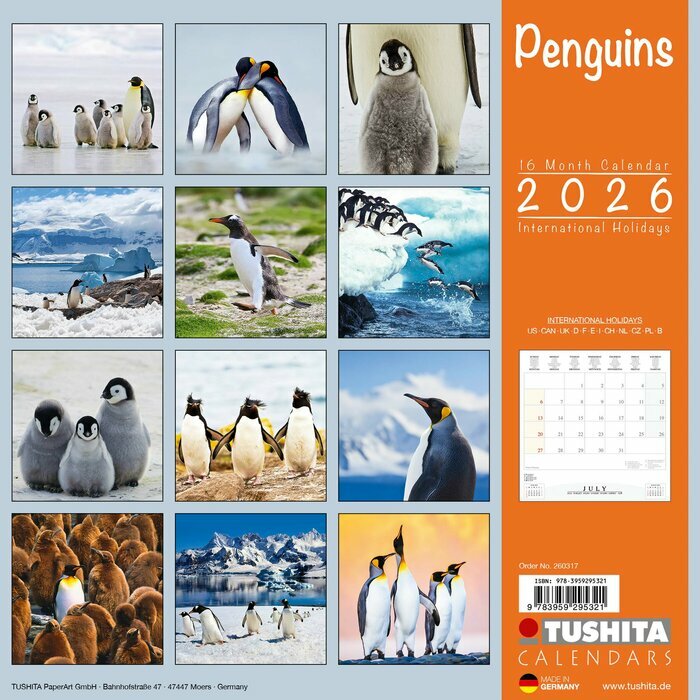 Calendrier Papier 2026 Banquis Polaire Pingouins