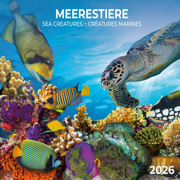 CalendrieR Papier 2026 Cratures Animaux sous Marins avec Poster Offert