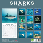 Calendrier Papier 2026 Requins Requins Blancs