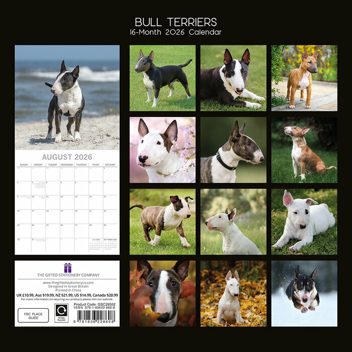 Calendrier 2026 papier Bull terrier