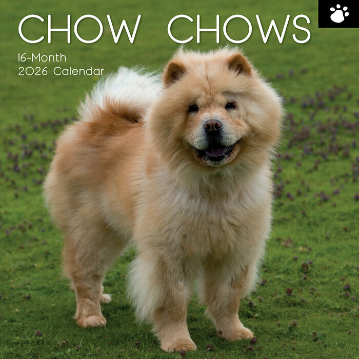 Calendrier Mural 2026 Chow chow