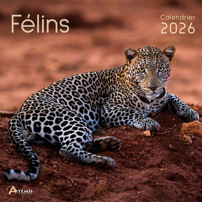 Calendrier 2026 Mural Les Plus Beaux Flins