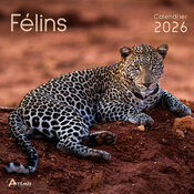 Calendrier 2026 Mural Les Plus Beaux Flins