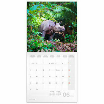 Calendrier 2026 Animaux Sauvage en Danger Calendrier 2026 Animaux Sauvage en Danger