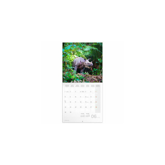 Calendrier papier 2026 Animaux Sauvage en Danger  