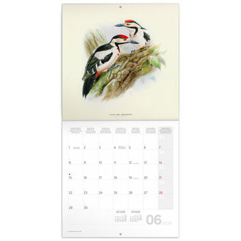 Calendrier 2026 Dessins Art Oiseaux  