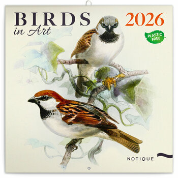 Calendrier 2026 Dessins Art Oiseaux  