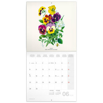 Calendrier 2026 Dessins Art Fleurs Nature
