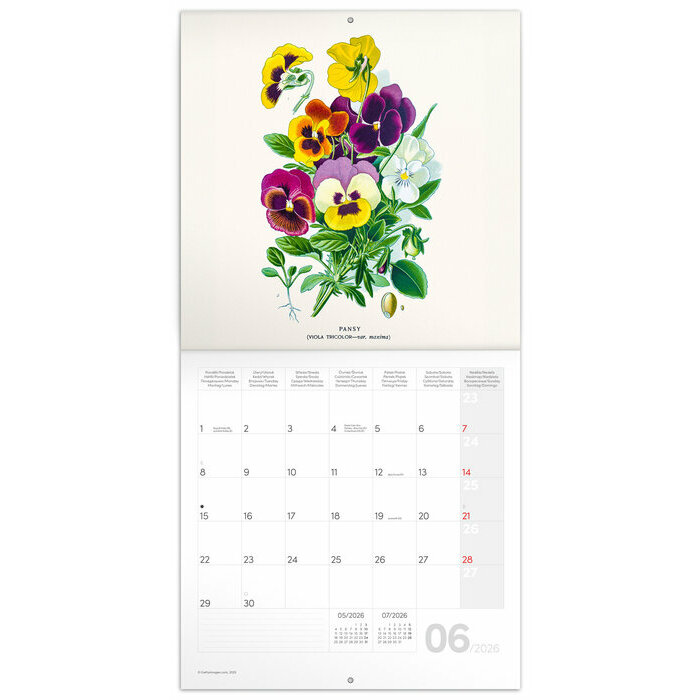 Calendrier papier 2026 Dessins Art Fleurs Nature