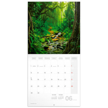 Calendrier 2026 Planète et Forêts Tropicales