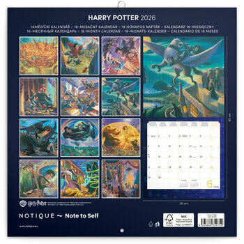 Calendrier 2026 Illustrations Harry Potter Magicien