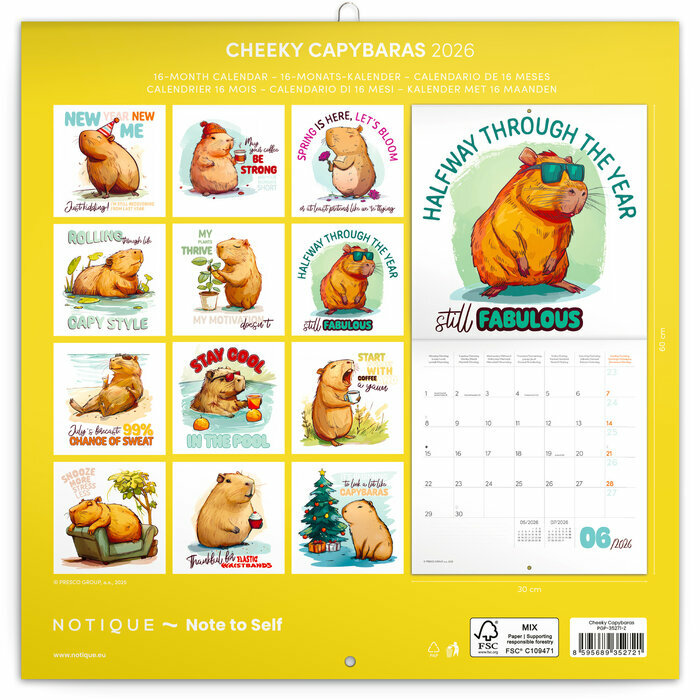 Calendrier 2026 papier Capybara Capibai Drôles