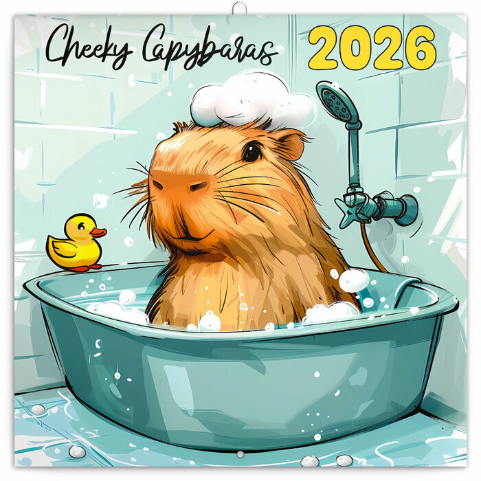 Calendrier 2026 mural Capybara Capibai Drôles