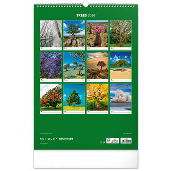 Maxi Calendrier 2026 Magnifiques Arbres