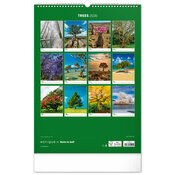 Maxi Calendrier mural 2026 Magnifiques Arbres