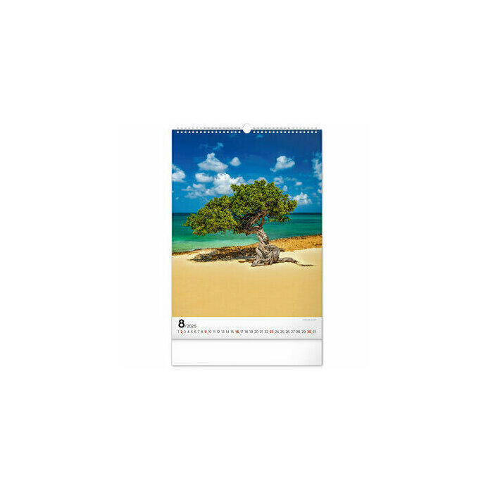 Maxi Calendrier 2026 Magnifiques Arbres