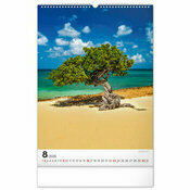 Maxi Calendrier 2026 Magnifiques Arbres