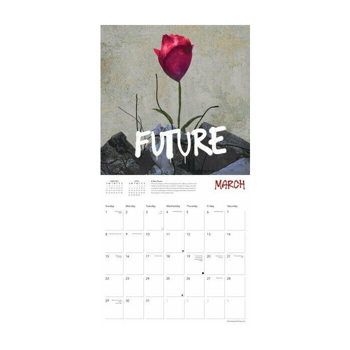 Calendrier 2026 Street Art TVBOY