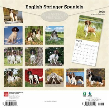 Calendrier 2026 Chien English Springer Spaniel