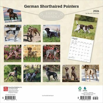 Calendrier 2026 Chien Race Braque Allemand Poil Court