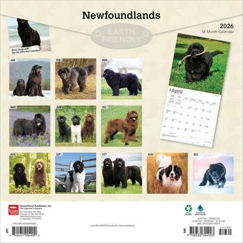 Calendrier 2026 Chien Race Terre Neuve