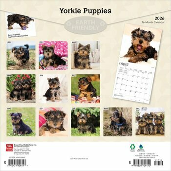 Calendrier 2026 Chien Race Yorkshire Terrier Chiots
