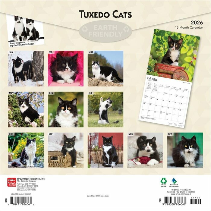 Calendrier Mural 2026 Chats de Race Tuxedo