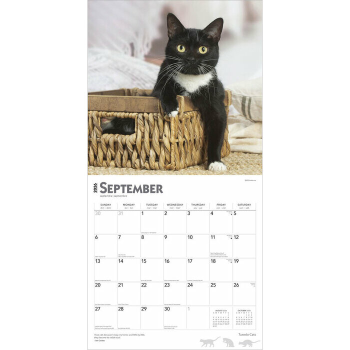 Calendrier Papier 2026 Chats de Race Tuxedo