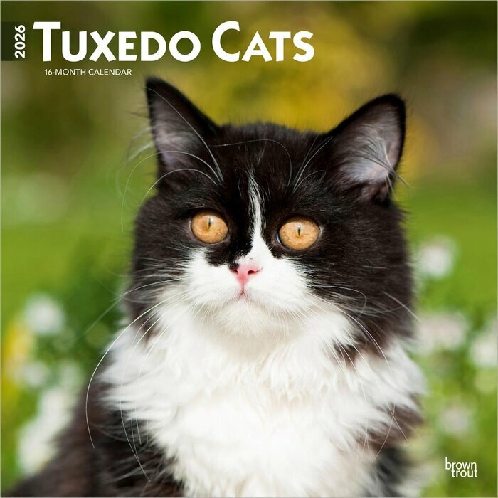 Calendrier 2026 Chats de Race Tuxedo