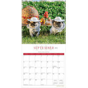 Calendrier Mural 2026 Chien Race Carlin Déguisés Humour