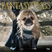 Calendrier 2026 Chien Race Carlin Déguisés Humour