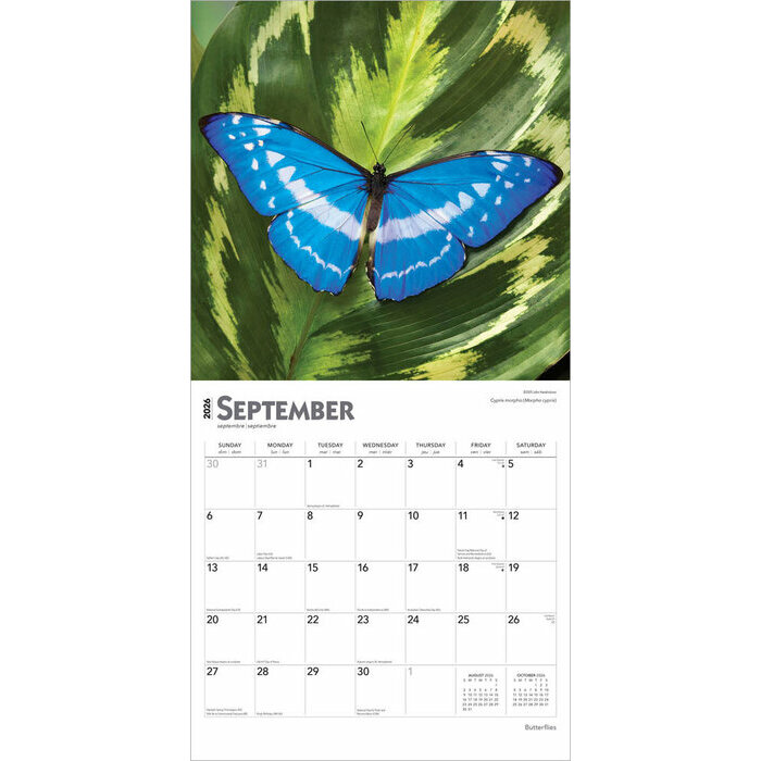 Calendrier Papier 2026 Beauté des Papillons