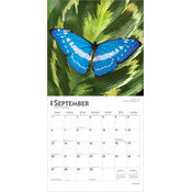 Calendrier Papier 2026 Beauté des Papillons