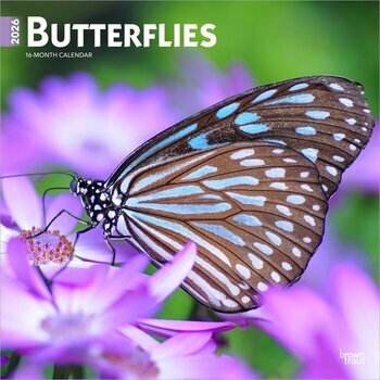 Calendrier 2026 Beauté des Papillons