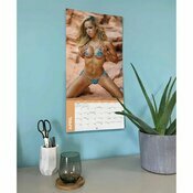 Calendrier  Femme  Beautés en Bikini