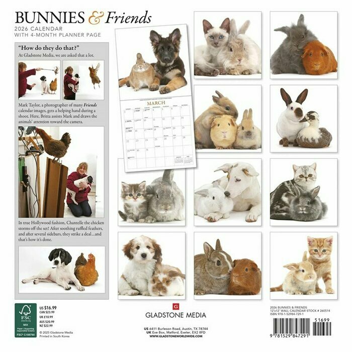Calendrier 2026 Mural Lapins et ses Petits Amis