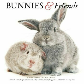 Calendrier 2026 Lapins et ses Petits Amis Calendrier 2026 Lapins et ses Petits Amis