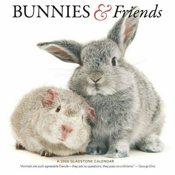 Calendrier 2026 Lapins et ses Petits Amis